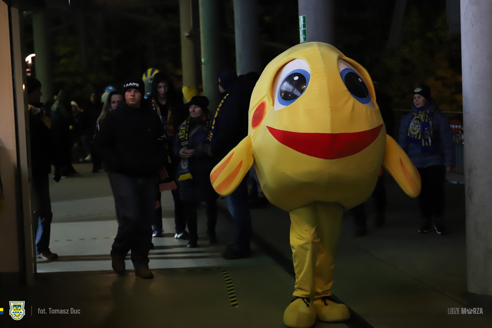 Content image