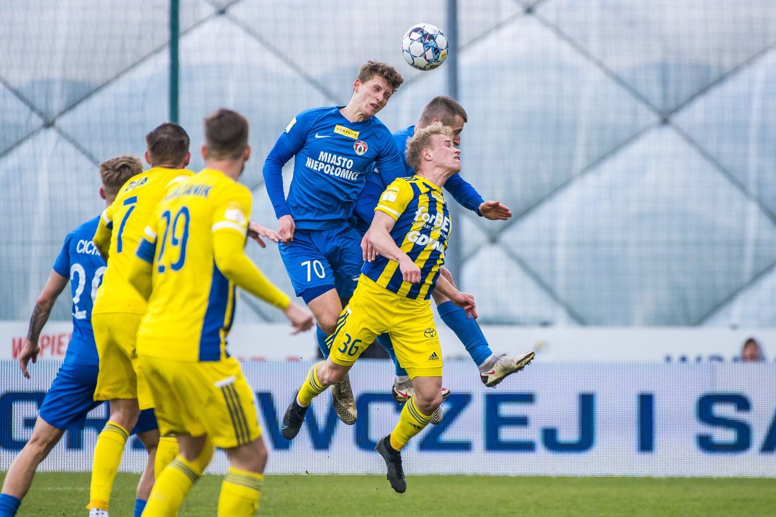 Zdjęcie Puszcza Niepołomice - Arka Gdynia