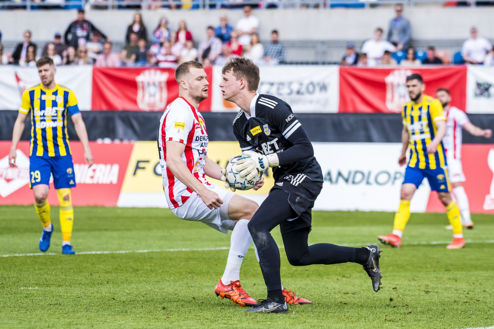Zdjęcie Resovia Rzeszów - Arka Gdynia