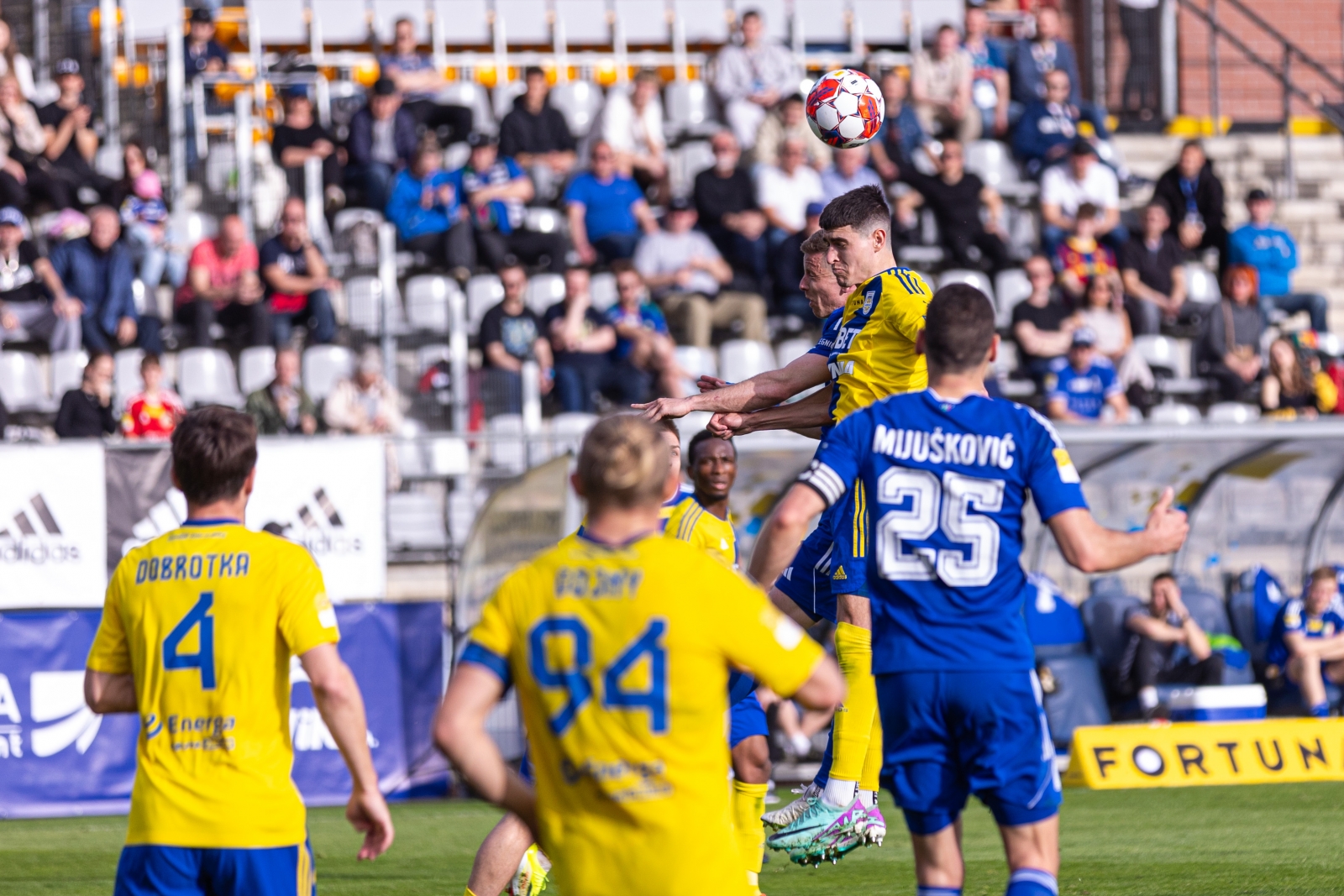 Zdjęcie Miedź Legnica - Arka Gdynia