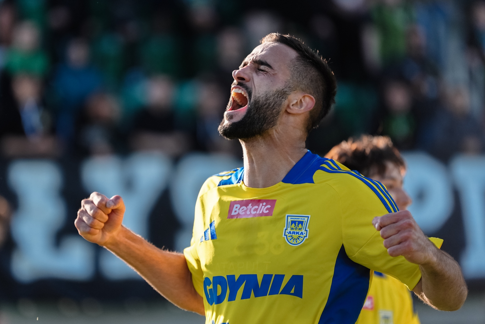 Zdjęcie Stal Stalowa Wola - Arka Gdynia