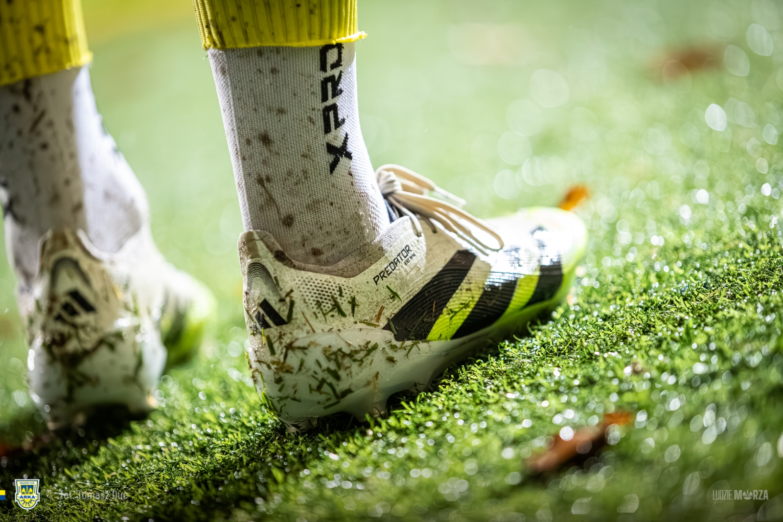 Zdjęcie STS Puchar Polski: Arka Gdynia - Górnik Zabrze