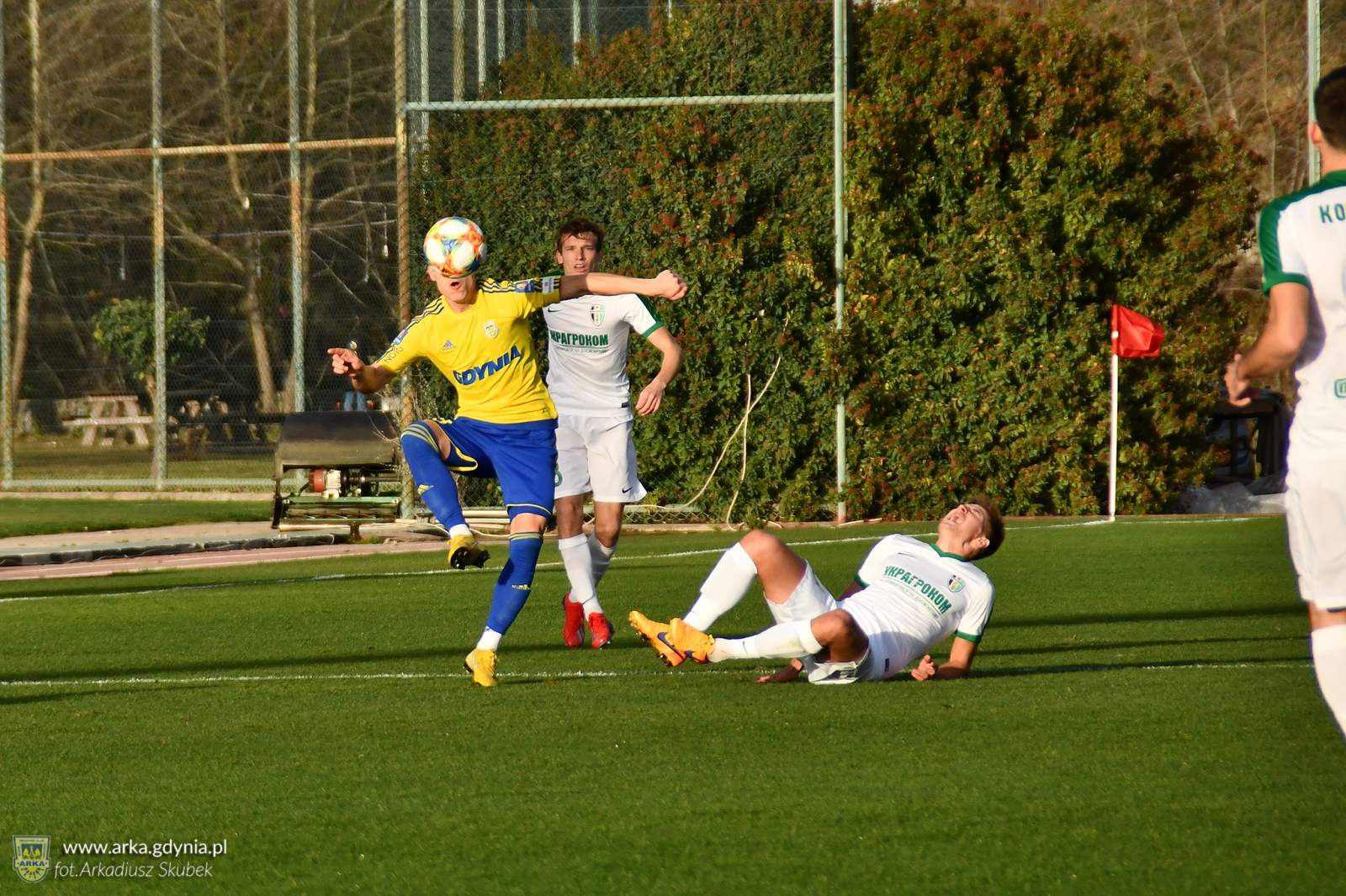 Zdjęcie Arka Gdynia - FK Oleksandrija