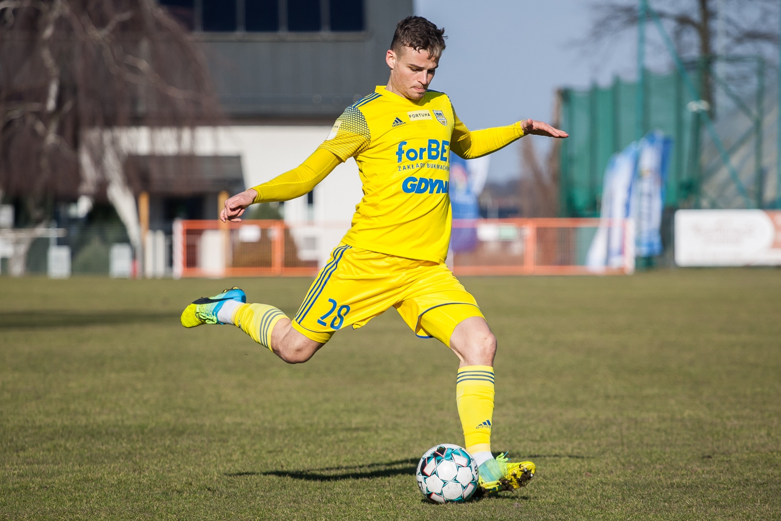 Zdjęcie Puszcza Niepołomice - Arka Gdynia
