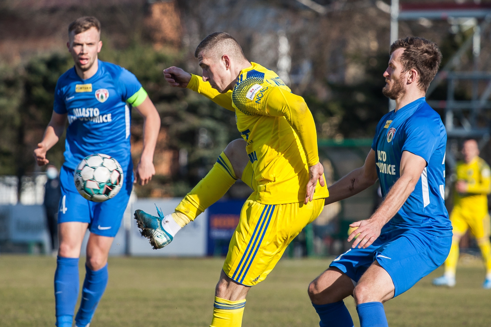 Zdjęcie Puszcza Niepołomice - Arka Gdynia