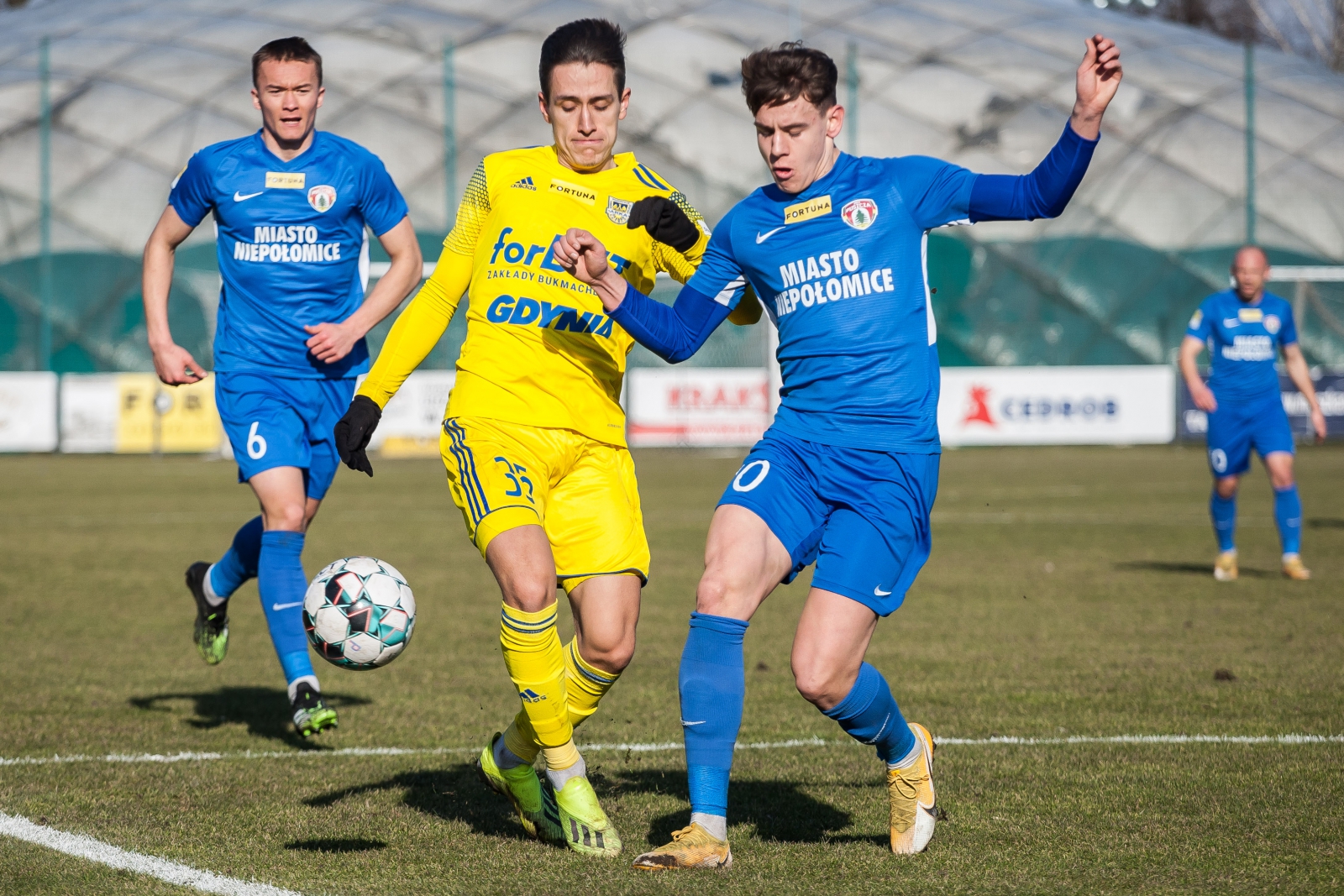 Fortuna 1 liga: Puszcza Niepołomice - Arka Gdynia 4:0-image