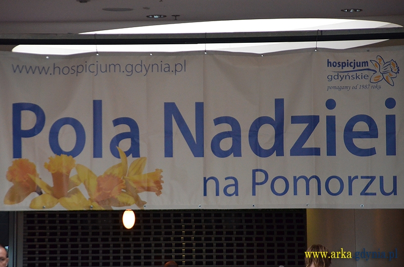 Wspierajmy Gdyńskie Pola Nadziei! W sobotę koncert live!-image