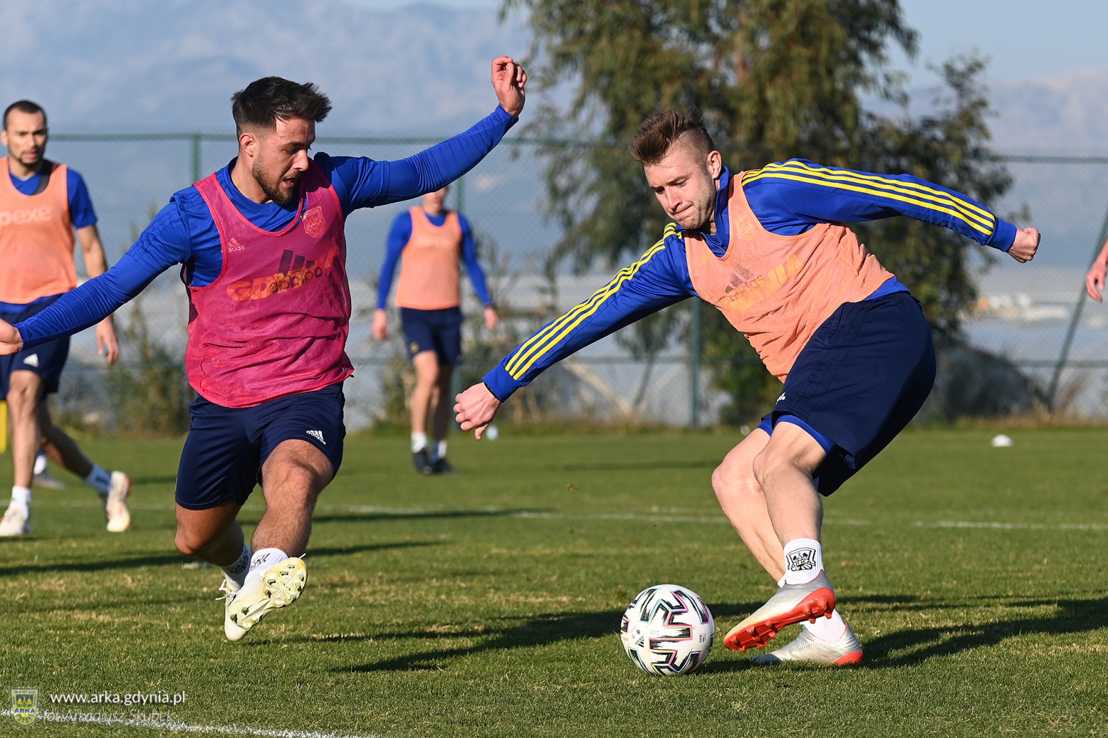Trening w słońcu-image
