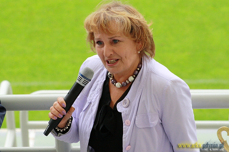 Zdjęcie Rok Szkolny 2013/2014 Rozpoczęty