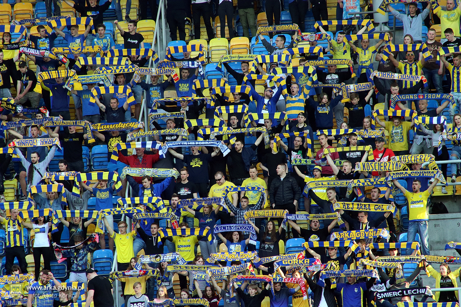 Wokół meczu Arka Gdynia - Miedź Legnica-image