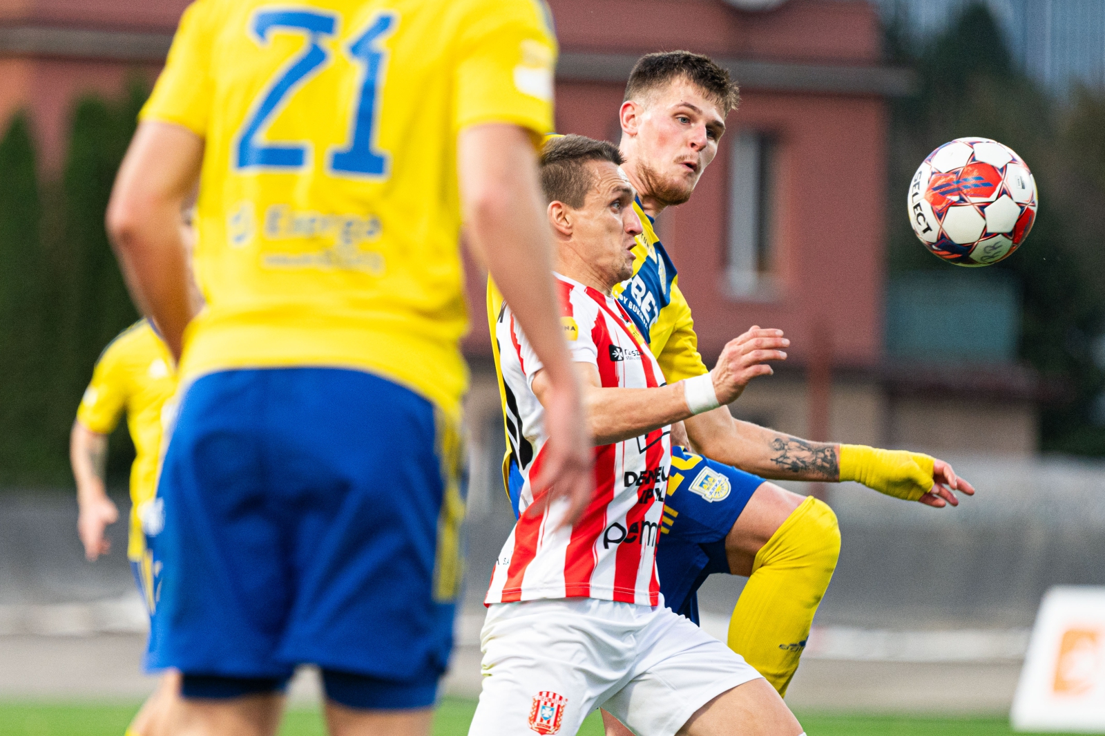 Zdjęcie Resovia - Arka Gdynia