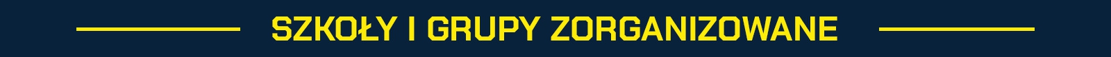 Bilety na mecz Arka Gdynia - Chojniczanka Chojnice-image