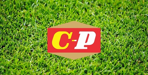 Chipolbrok z Arką!