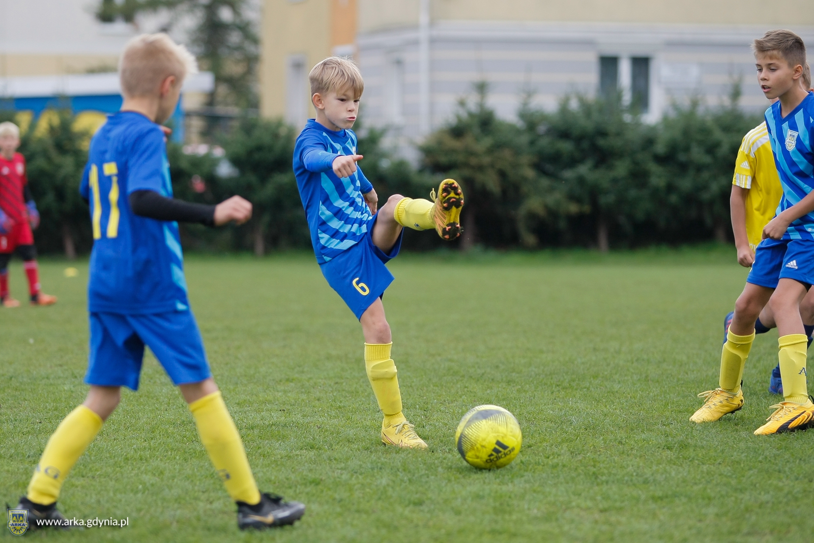 Zdjęcie Festyn Charytatywny - Checz Gdynia