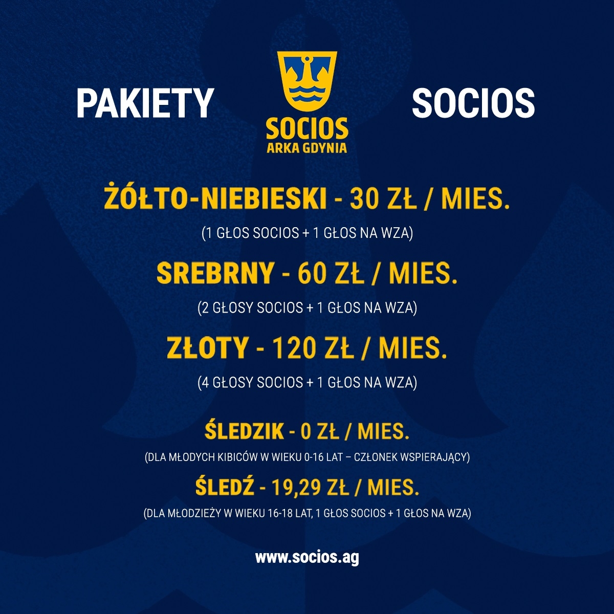 Socios Arka Gdynia. Powstało zrzeszenie kibiców-image